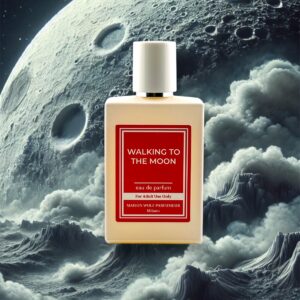 WALKING TO THE MOON