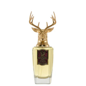 ORCHESTRA 100ml edp